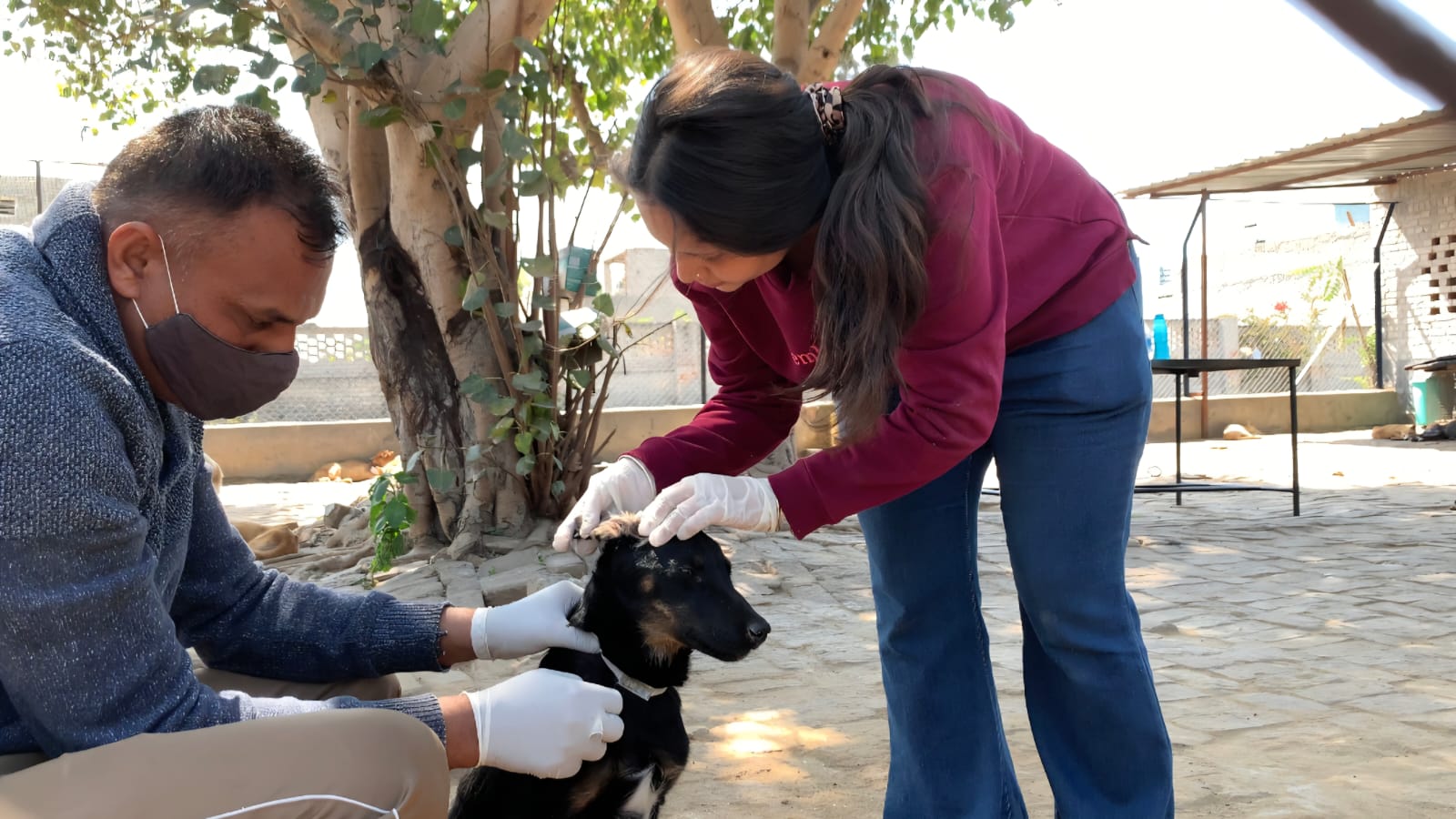CSR Activity