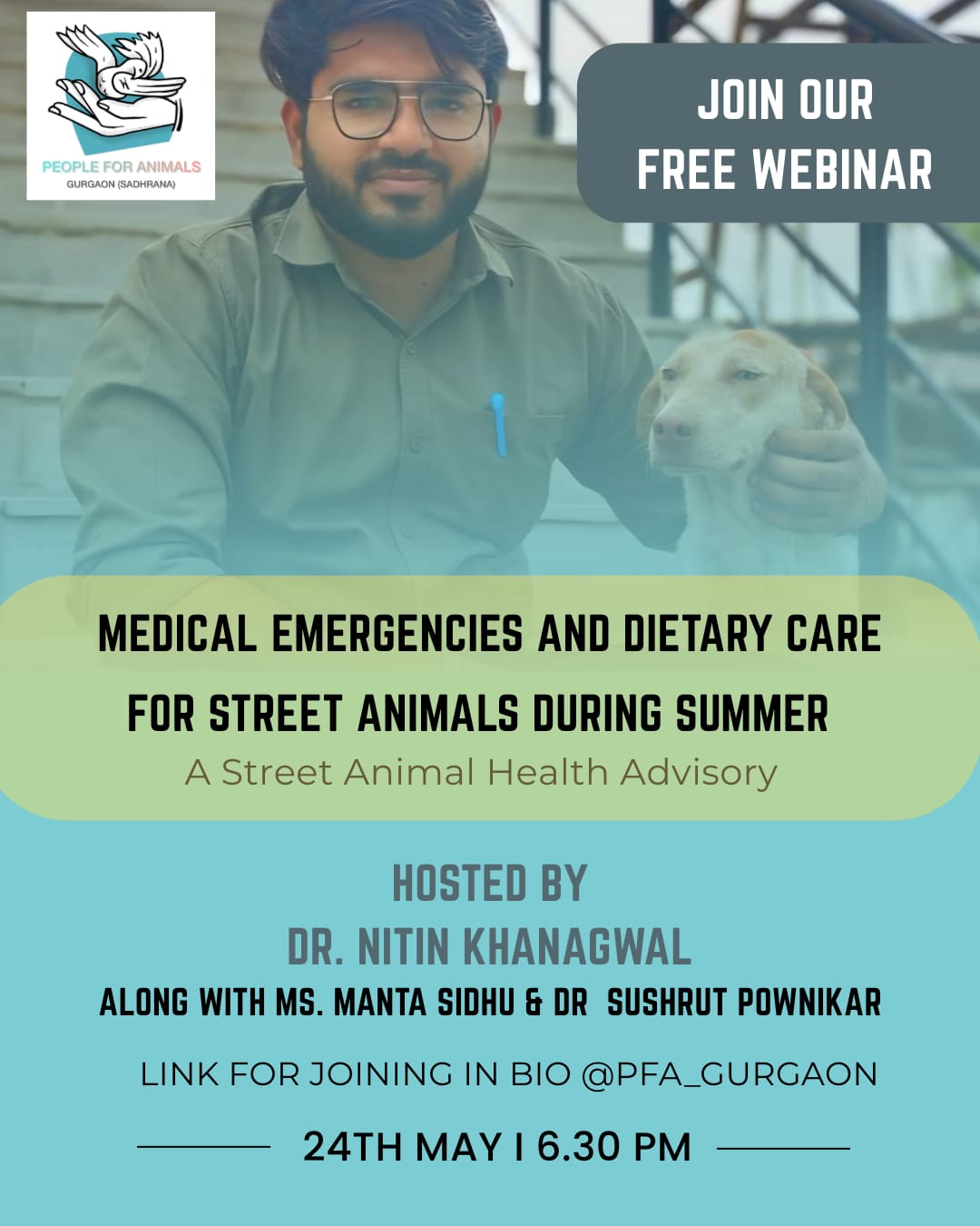 Street Dog Care Webinar
